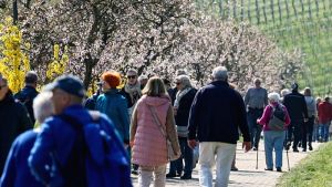 Η AfD κατακτά την πρώτη θέση σε δημοσκόπηση του ZDF – Ανικανοποίητο των πολιτών από τα μέτρα για τις τιμές ενέργειας