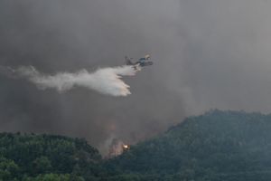 Θεσσαλονίκη: Φωτιά στην Άσσηρο – Επιχειρεί ελικόπτερο και οχήματα της πυροσβεστικής