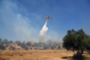 Πυρκαγιά στο Ελληνικό Γορτυνίας