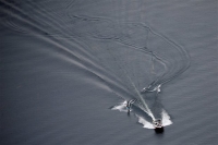 Φλόριντα: Αγνοείται δίχρονος που ίσως τον τράβηξε αλιγάτορας