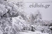Ισχυρή χιονόπτωση στο Κιλκίς