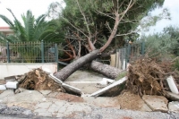 Συντρίμμια άφησε ο ανεμοστρόβιλος που χτύπησε την Ηλεία