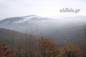 Καθαρισμός δασών και αντιπυρικές ζώνες στο ν. Κιλκίς