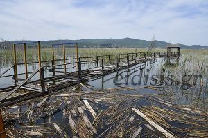 Η απόλυτη εγκατάλειψη στη Δοϊράνη