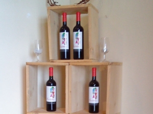 ΑΪΔΑΡΙΝΗΣ: Πρόσκληση σε γευστικές δοκιμές οίνων και εδεσμάτων