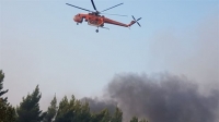 Πυρκαγιές σε δασικές εκτάσεις σε Καλαμπάκα και Δράμα