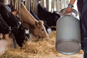 Σταμάτησε η επιδότηση καύσης των νεκρών ζώων - Ζωντανά δεν συμφέρουν και ψόφια φέρνουν μπελάδες