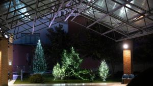 Έλατα και φωτεινά αστέρια από δωρεές κοσμούν το Παπαγεωργίου 24/12/2020