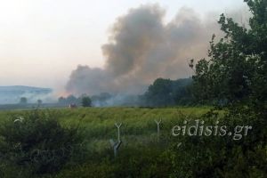 Πυρκαγιά από τη Γευγελή απείλησε την Ειδομένη. Μεγάλη κινητοποίηση Πυροσβεστικής και δήμου Παιονίας