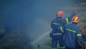 Δράμα: Όχημα με σιτάρι που κατευθυνόταν προς Θεσσαλονίκη έπιασε φωτιά