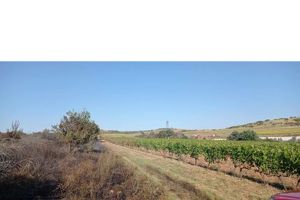 Εύζωνοι: Εισαγόμενη πυρκαγιά έκαψε 20 στρέμματα