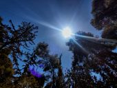 Καιρός Θεσσαλονίκη: Πρωινή ομίχλη, αλλά ανοιξιάτικο κλίμα