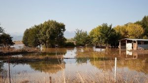 Συλλυπητήρια μηνύματα βουλευτών και θεσμικών φορέων του Έβρου για τον αδόκητο θάνατο του αρχιπυροσβέστη, Ιωάννη Ζαφειρόπουλου