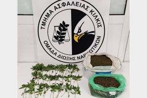 Κιλκίς: Καλλιεργούσε 48 δενδρύλλια κάνναβης στην αυλή του και στο σπίτι του είχε 2,6 κιλά