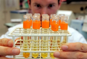 Δωρεάν εξετάσεις για τον προστάτη από 22 Σεπτεμβρίου