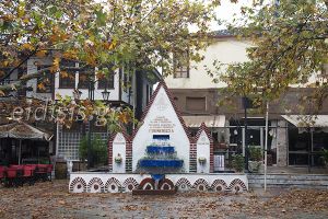 Γενική συνέλευση των μελών των «Παιόνων» Γουμένισσας