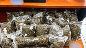 Σύλληψη αλλοδαπού στη Θεσσαλονίκη με 4,8 κιλά κάνναβης