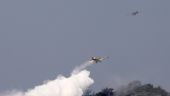 Kύπρος: Διαχειρίσιμα τα πύρινα μέτωπα