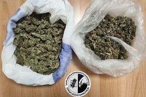 Επιχείρηση των αστυνομικών του Κιλκίς στην Πέλλα – Κατασχέθηκαν δενδρύλλια κάνναβης