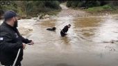 Εντυπωσιακή διάσωση δύο τσομπανόσκυλων από βράχους σε ποταμό της Χαλκιδικής