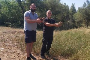 Ο Κυνηγετικός Σύλλογος Κιλκίς απελευθέρωσε ακόμη 150 φασιανούς