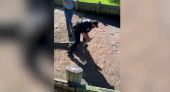 ΗΠΑ: Αστυνομικός παλεύει με… κροκόδειλο – Δείτε το συγκλονιστικό βίντεο