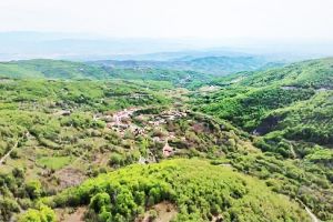 Πεζοπορία στο όμορφο δάσος της Κούπας την Κυριακή 24 Μαΐου