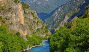 WWF Ελλάς: Νέες «εκπτώσεις» στην προστασία του περιβάλλοντος