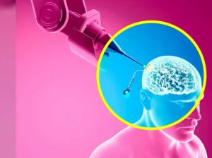 Εταιρία του Έλον Μασκ πήρε έγκριση να εμφυτεύει εγκεφαλικά τσιπ σε ανθρώπους