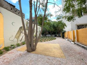 Τρία νέα Πάρκα Τσέπης παραδίδει ο Δήμος Θεσσαλονίκης