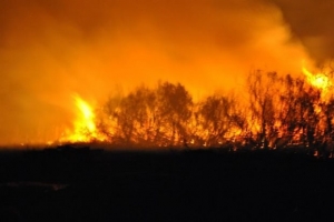 Τη Δευτέρα 20 Οκτωβρίου τα αποτελέσματα της αντιπυρικής