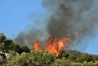 Αργολίδα: Υπό μερικό έλεγχο η δασική πυρκαγιά στο Καπαρέλλι