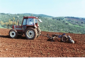 Οριστικά με ΦΕΚ στα 12 κιλά το στρέμμα η χρήση πιστοποιημένου σπόρου σκληρού σταριού