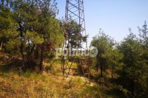 Θεσσαλονίκη: Σκουπίδια και… ξερά χόρτα η εικόνα του Σεϊχ Σου – Αποκαρδιωτική η κατάσταση του δάσους