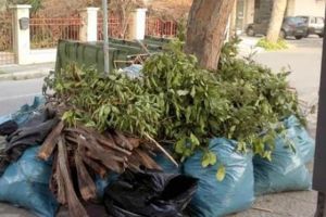 Συστάσεις Δήμου Κιλκίς για τη σωστή αποκομιδή προϊόντων κοπής πρασίνου