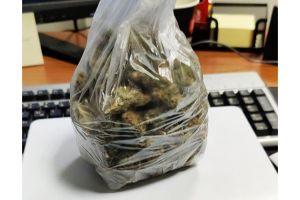 Τον συνέλαβαν στο Κιλκίς με 100γρ κάνναβη