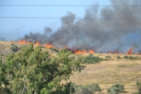 Τρεις τραυματίες από πυρκαγιά στα Οινόφυτα, φωτιά στο Ζευγολατιό