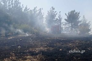 Πυρκαγιά ξέσπασε έξω από το Χωρύγι Κιλκίς. Η άμεση κινητοποίηση απέτρεψε τα χειρότερα
