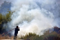 Σε ύφεση η πυρκαγιά στην Ανδρο