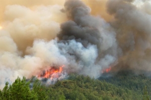 Υπό μερικό έλεγχο η φωτιά στα Φαλάσαρνα Κισάμου