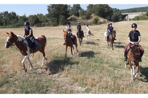 Κατασκήνωση από τον Ιππικό Όμιλο Κιλκίς