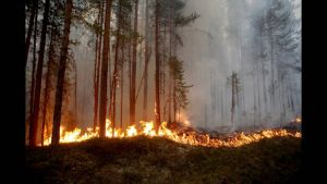 Συνεχίζει να μαίνεται το πύρινο μέτωπο στην Ισπανία