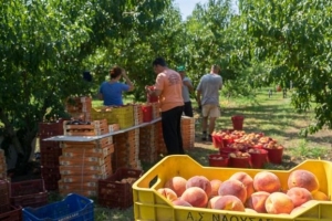 Η Ρωσία προετοιμάζεται για την επανέναρξη των ελληνικών εισαγωγών τροφίμων