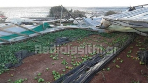 Κρήτη: Τεράστιες καταστροφές λόγω ισχυρών ανέμων