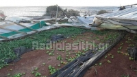Κρήτη: Τεράστιες καταστροφές λόγω ισχυρών ανέμων