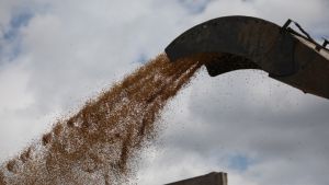 Aκόμα δύο πλοία με σιτηρά αναχώρησαν από την Ουκρανία