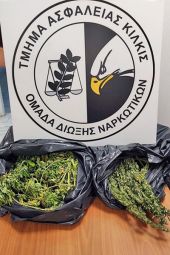 Αστυνομικοί του Κιλκίς συνέλαβαν στη Θεσσαλονίκη 63χρονο με τρία κιλά κάνναβης
