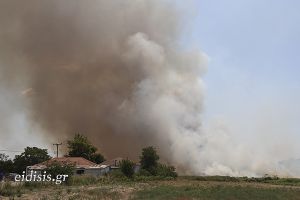 Η φωτιά «έγλειψε» τα σπίτια στην Κοτύλη Κιλκίς