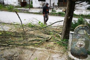 Εθελοντισμός για την ομορφιά των Αμαράντων