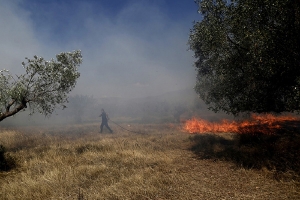 Υπό έλεγχο η πυρκαγιά που ξέσπασε στα Πλάγια